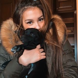 Meet your Posher, Perry